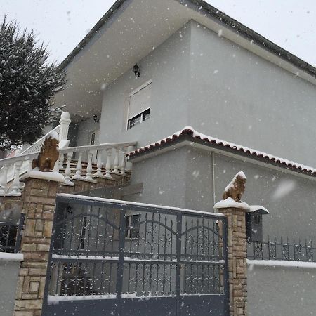 Vila Ridvani コルチャ エクステリア 写真
