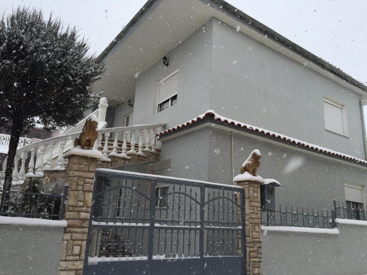 Vila Ridvani コルチャ エクステリア 写真