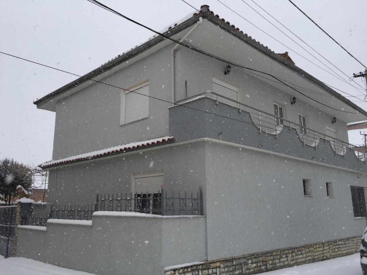 Vila Ridvani コルチャ エクステリア 写真